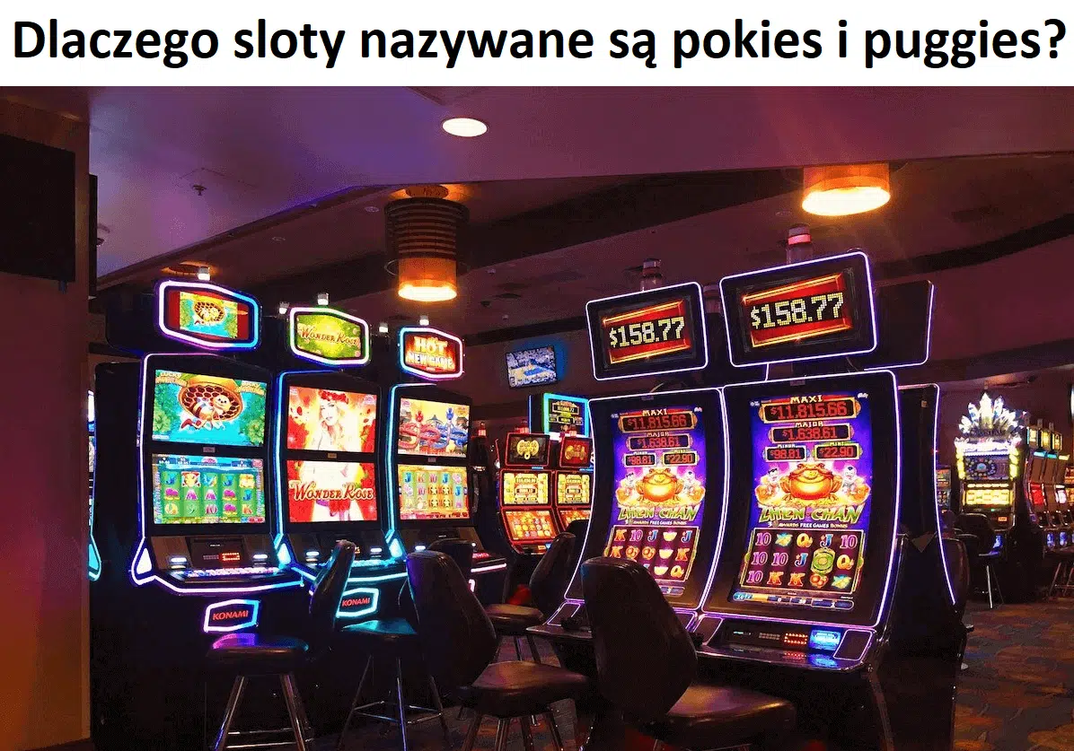 Dlaczego sloty nazywane są pokies i puggies?